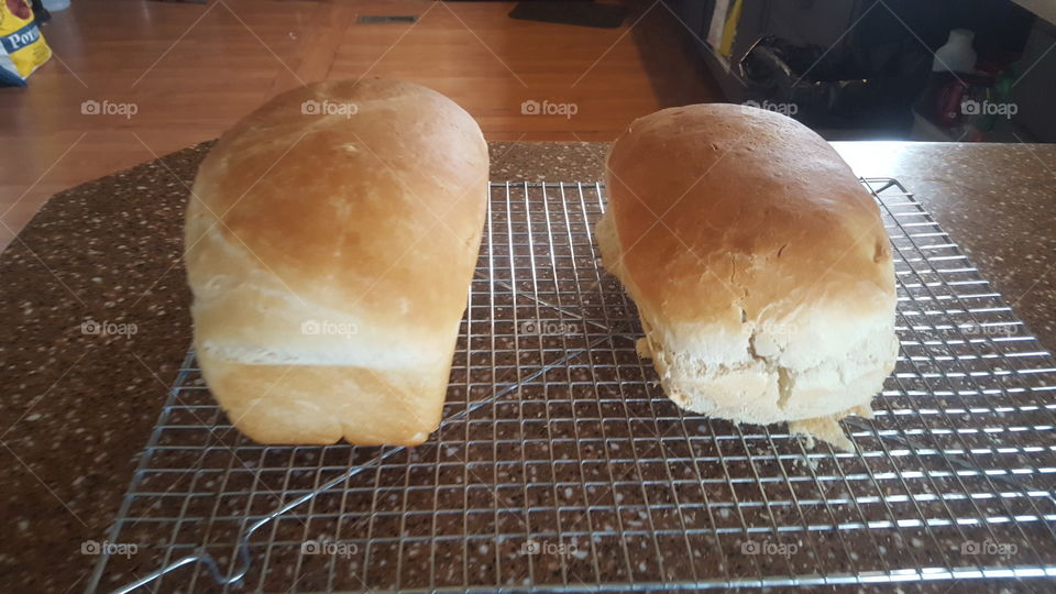 fresh from the oven homemade from scratch bread