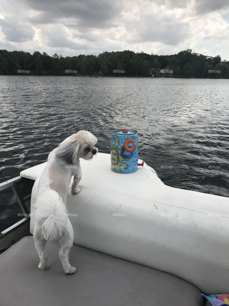 Boat dog!