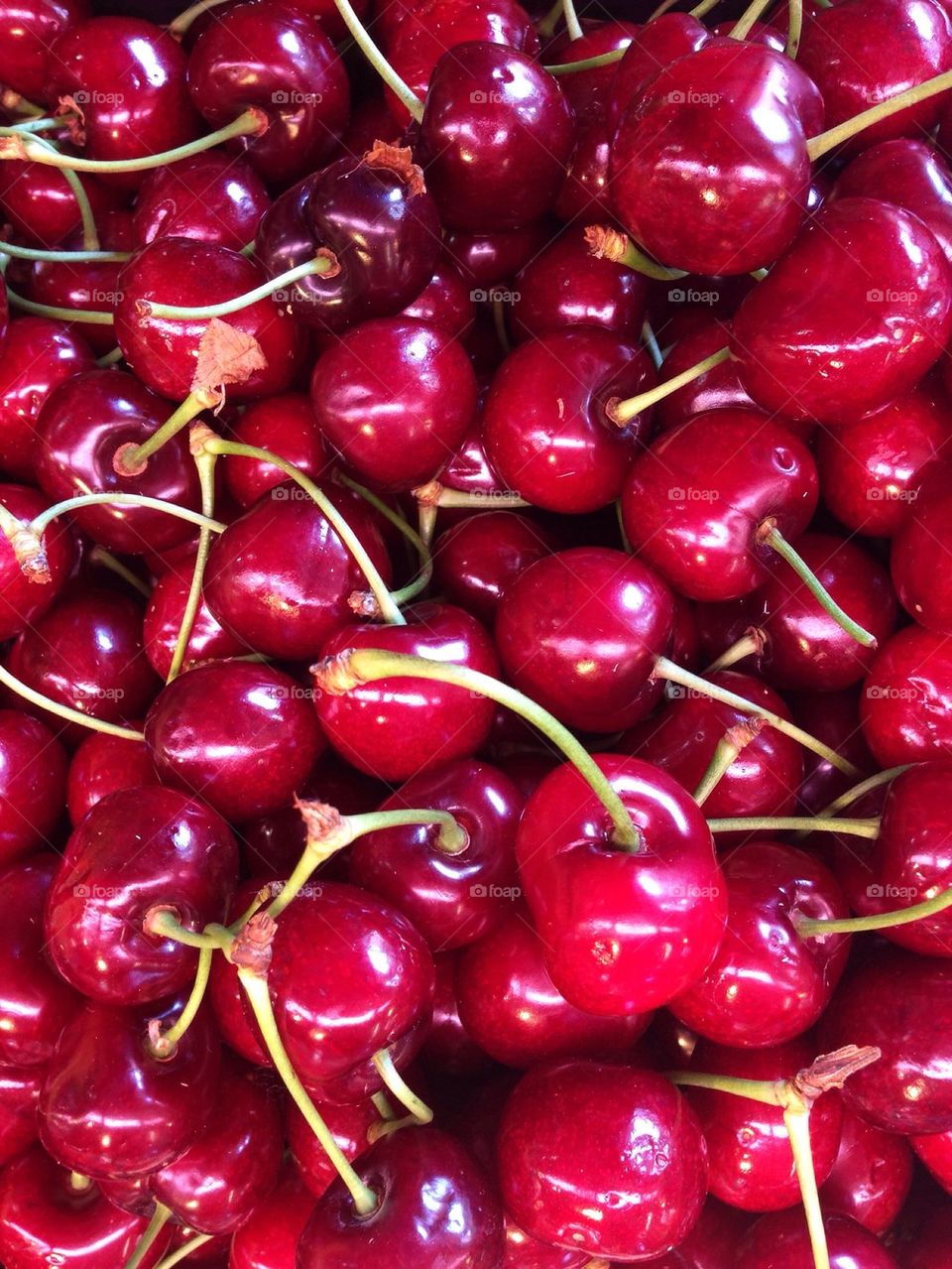 Close-up of red cherries