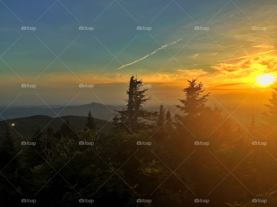 Sunset, Dawn, Landscape, Evening, Tree