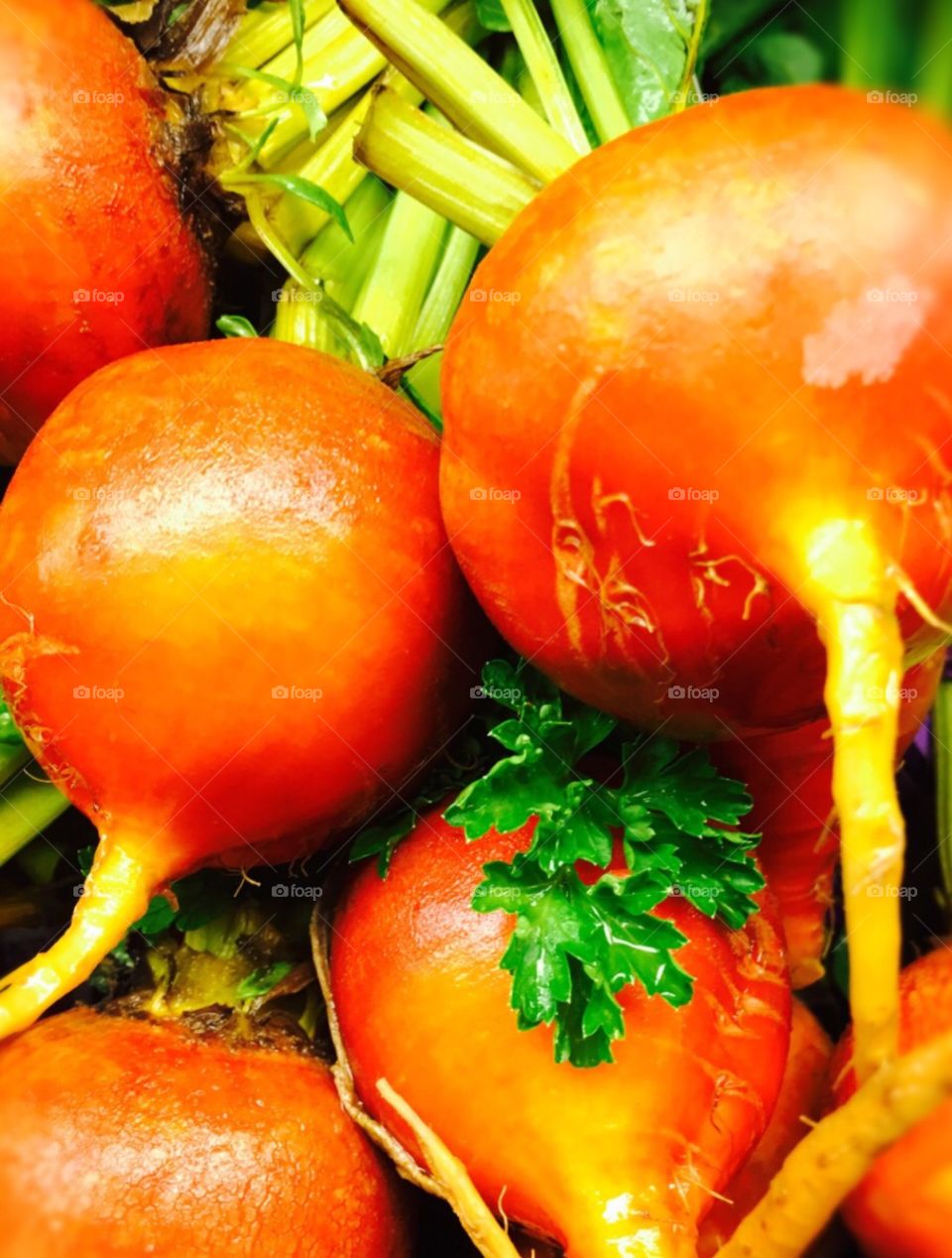 Close-up of a beets