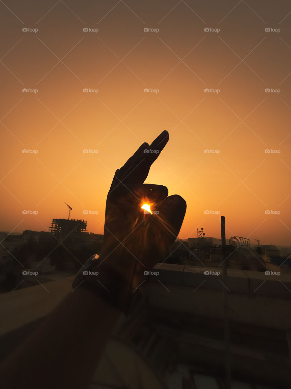 Sunflare in hand- This picture has been captured during a sunrise with my Realme 6i device, and colour graded on Adobe Lightroom application.
exif-
f/2.3 ISO112 1/4000sec.