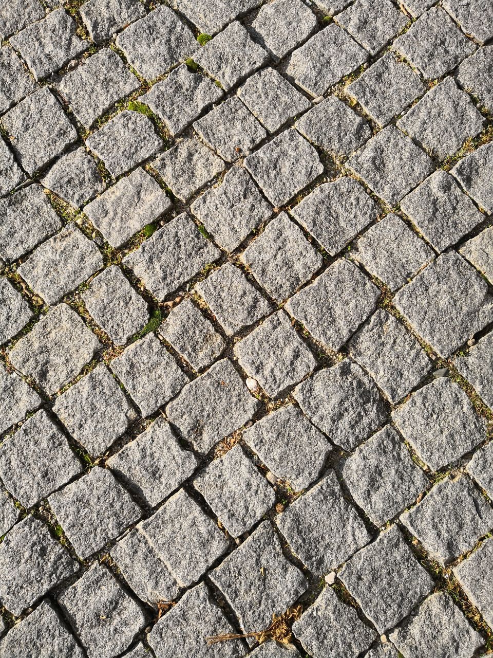 Floor, Urban, City, Castelo de Vide, Portugal