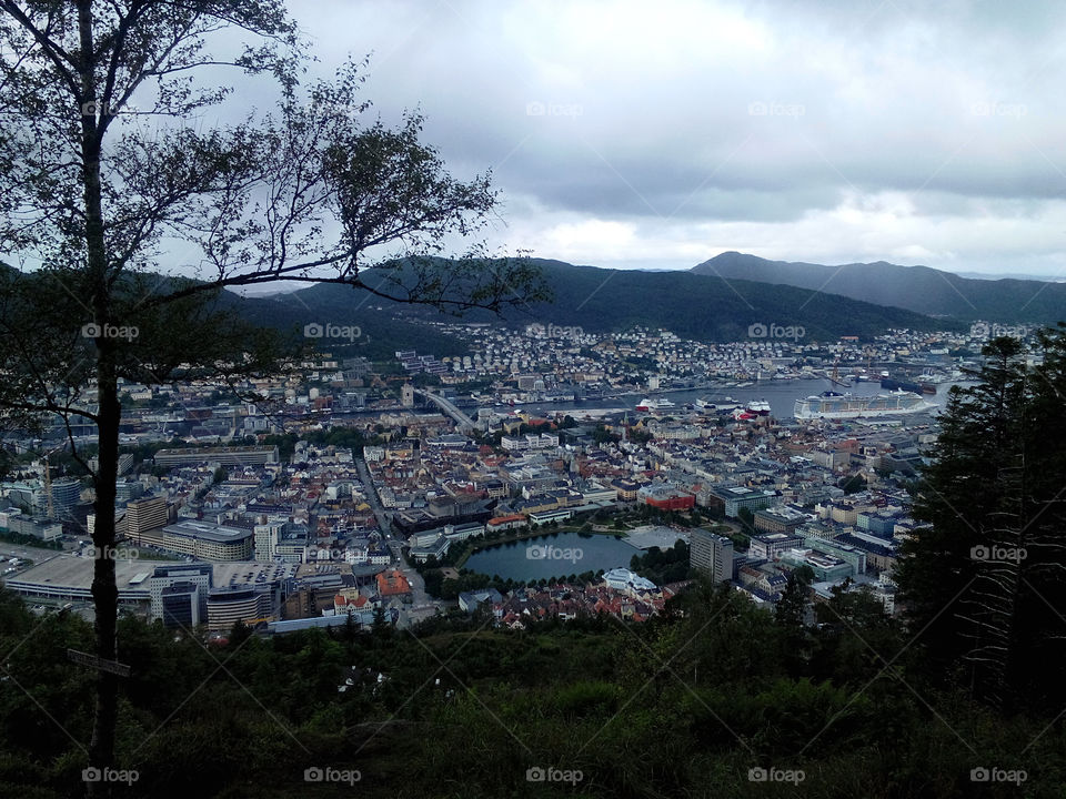 Bergen view