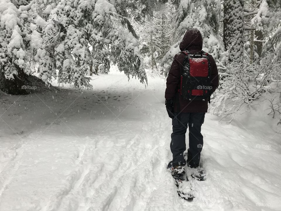 Snowshoeing through a beautiful winter wonderland 