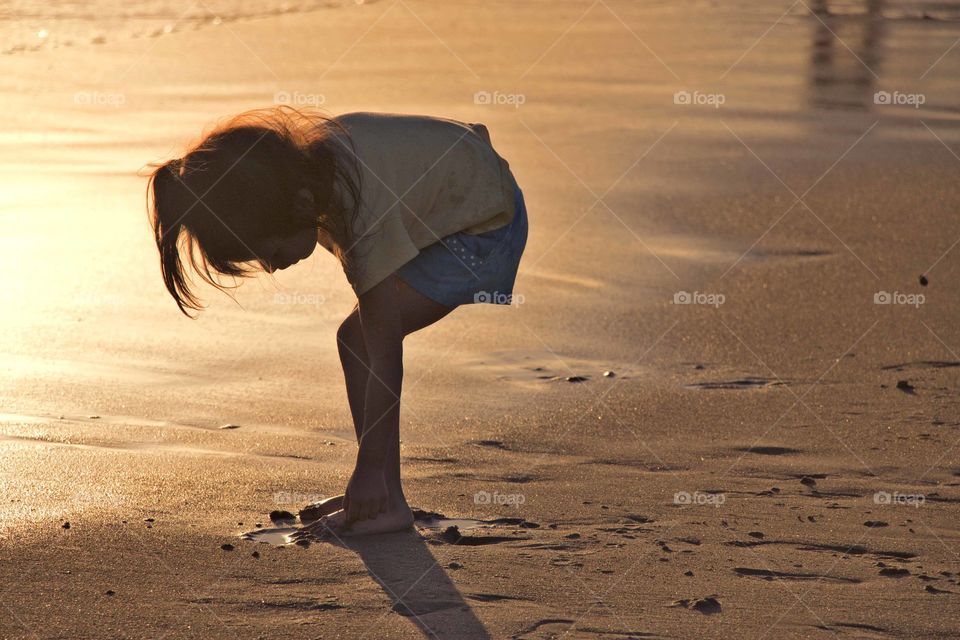 Kid finding a sea shell