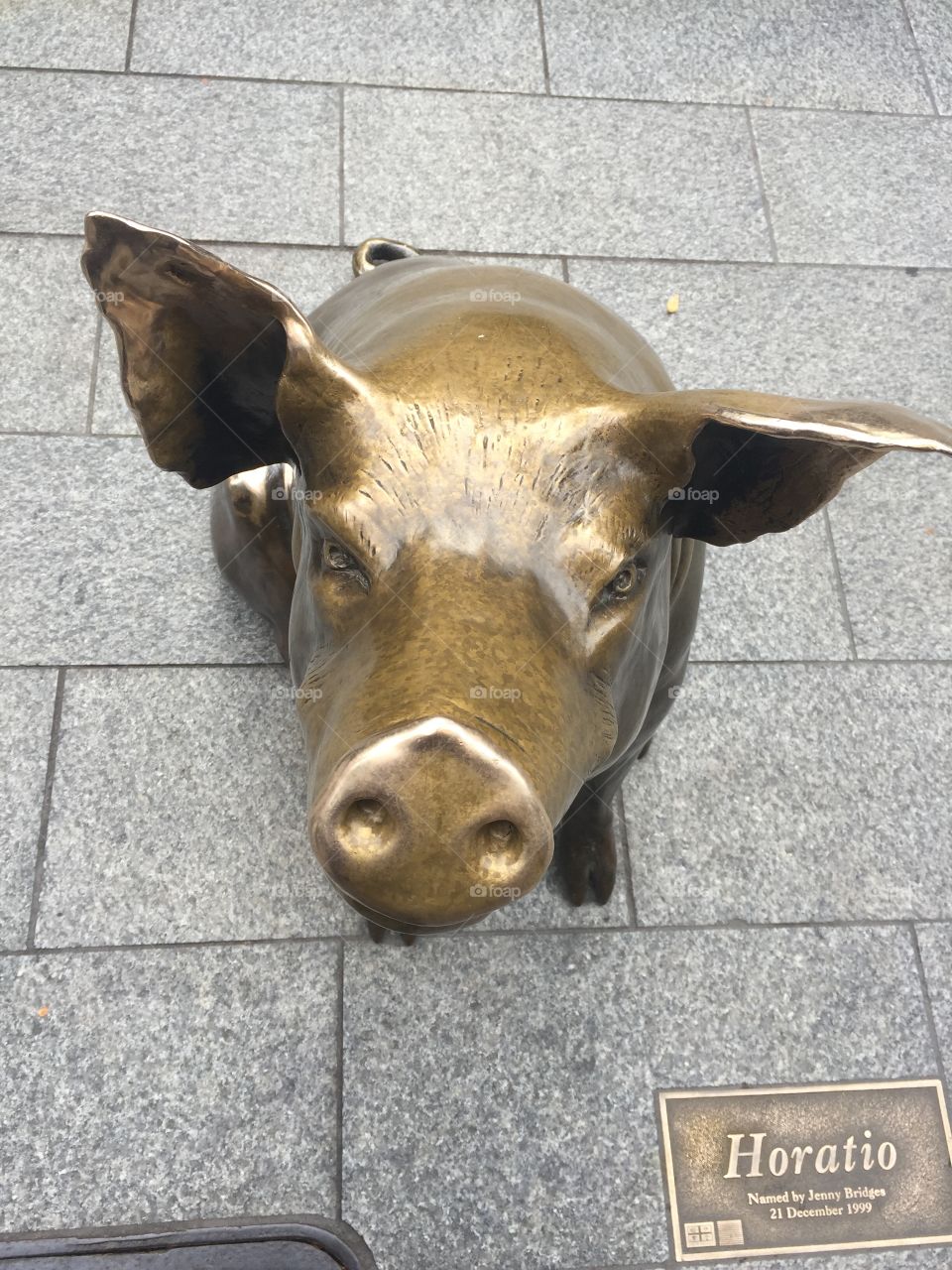 This little piggy 🐷 