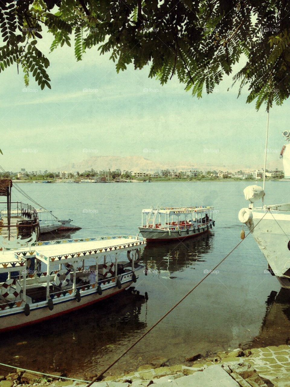 The Nile