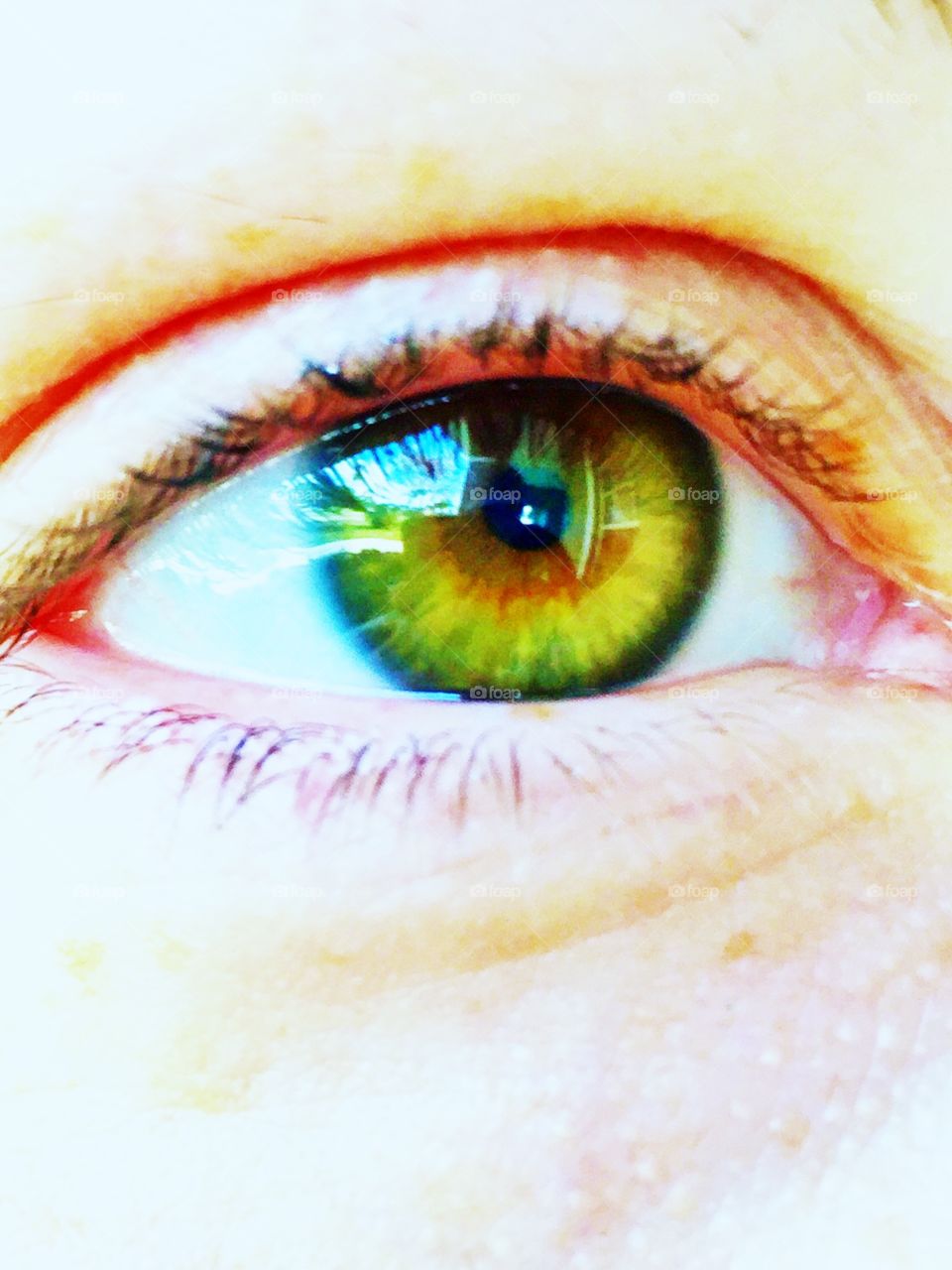 Eye beauty. Close up of a pretty eye