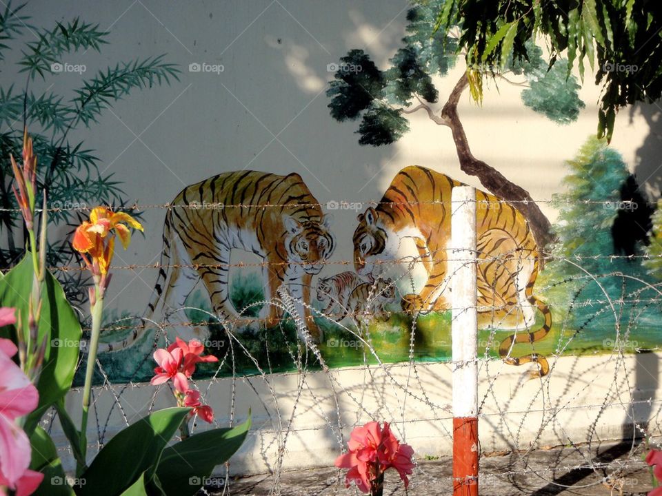 Prison tigers 