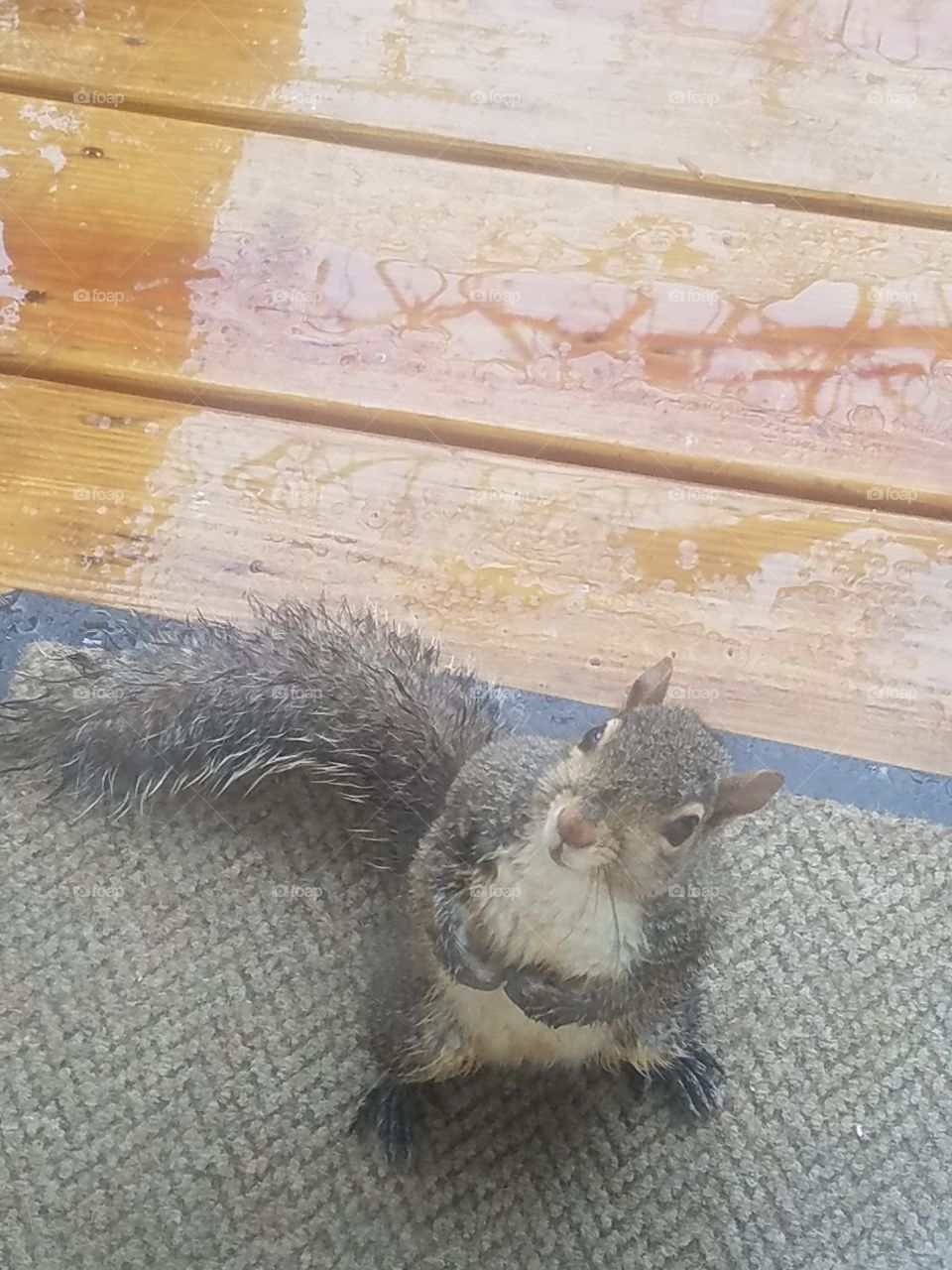 Wet and cold but still hungry