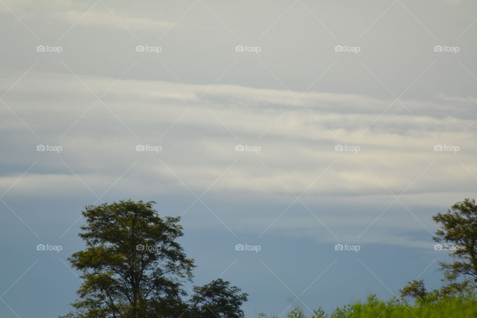 No Person, Tree, Nature, Outdoors, Sky