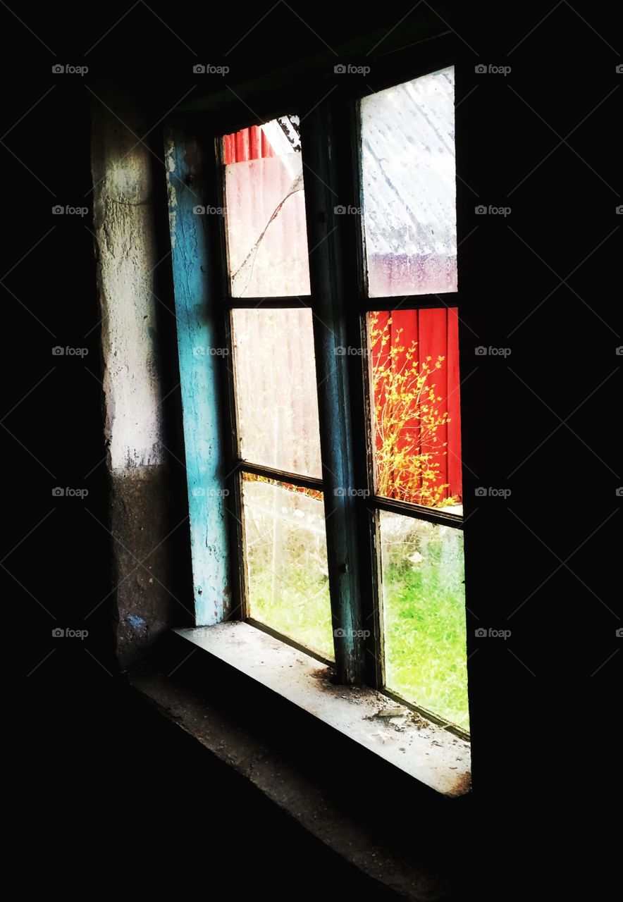 A view from the past