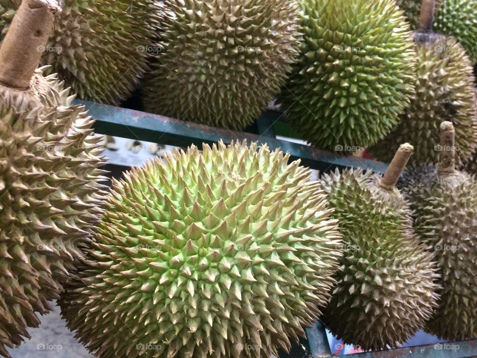 Durio zibethinus is the most common tree species in the genus Durio that are known as durian and have edible fruit also known as durian.