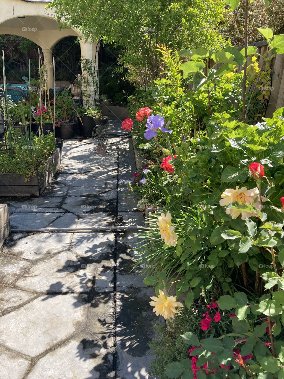 Backyard perennial border garden 