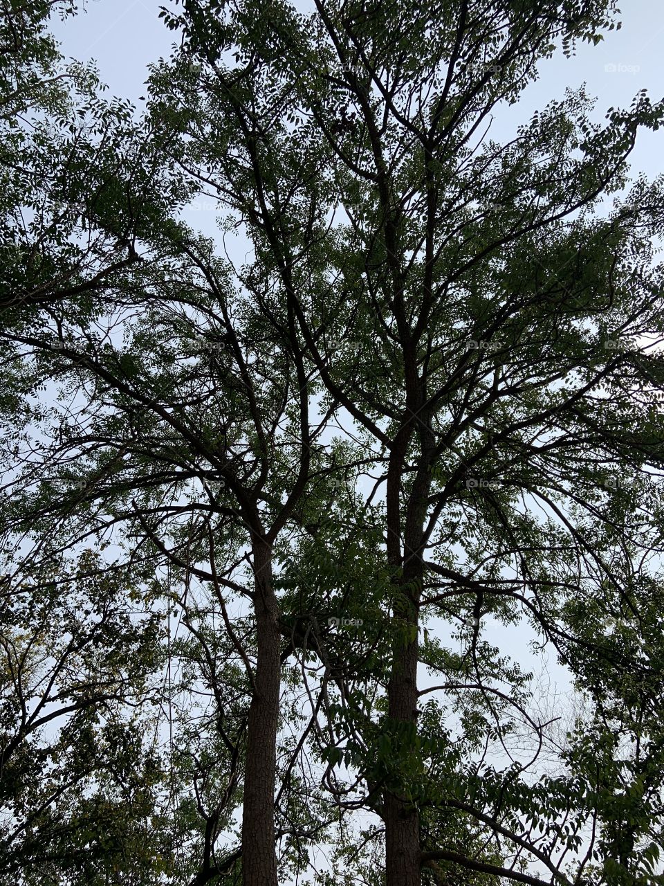 Shape of the nature, Countryside (Thailand )