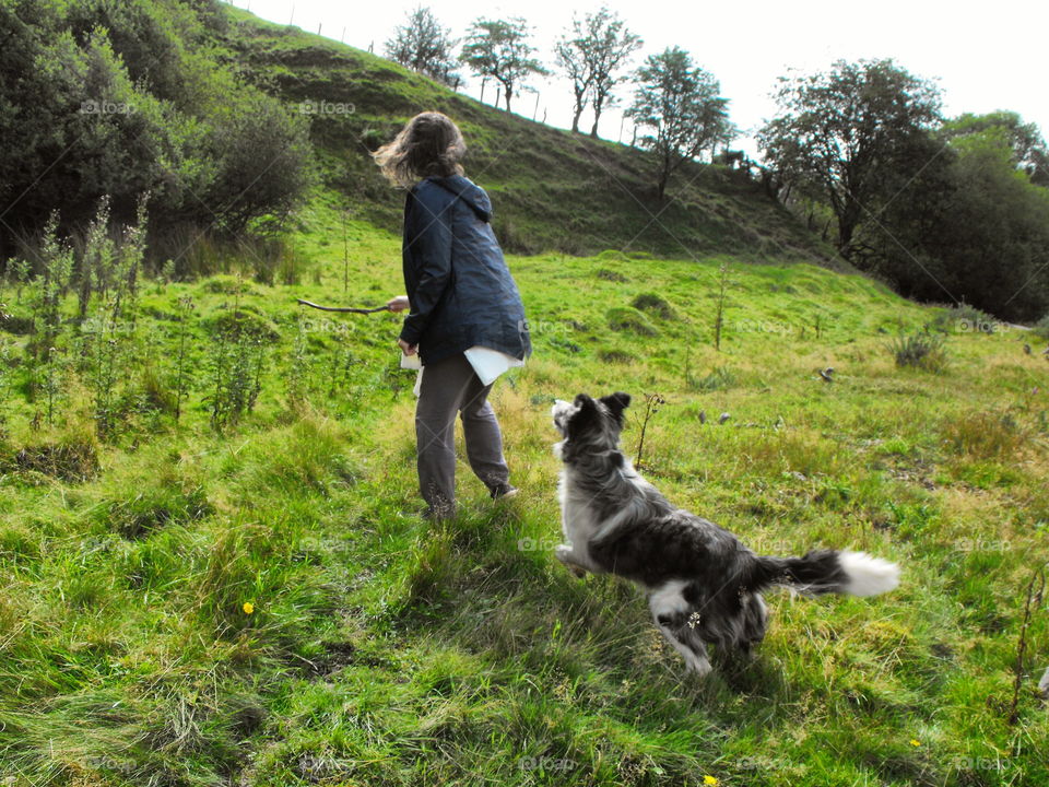 A girl throwing a stick for a happy dog