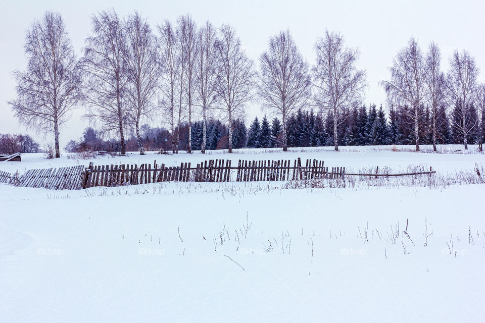 Winter in the countryside