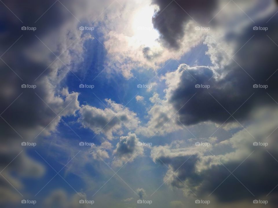 Let the light shine through