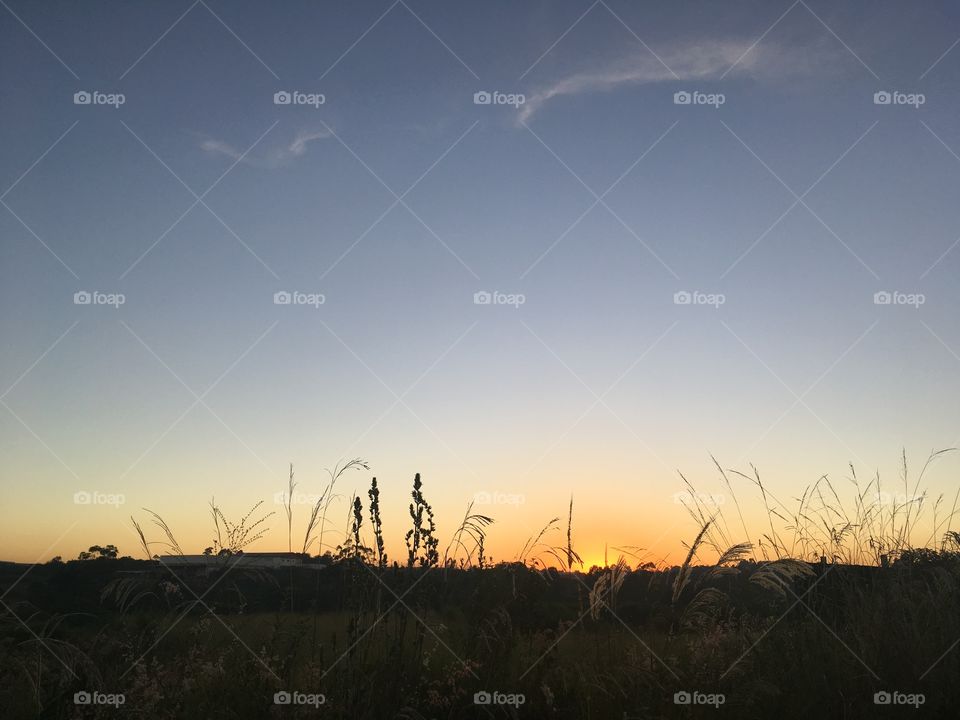 ✌🏻️Desperta, #Jundiaí!
Ótima 4a feira a todos. 🌅
#sol
#sun
#sky
#céu
#nature
#manhã
#morning
#alvorada
#natureza
#horizonte
#fotografia
#paisagem
#amanhecer
#mobgraphia
#FotografeiEmJundiaí
#brazil_mobile