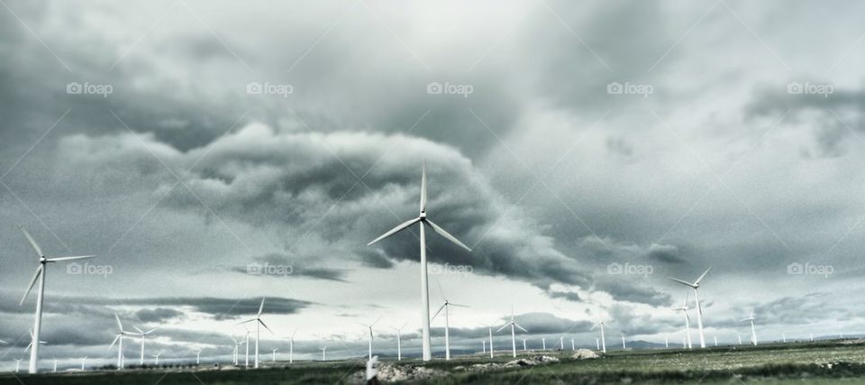 The Wind farm