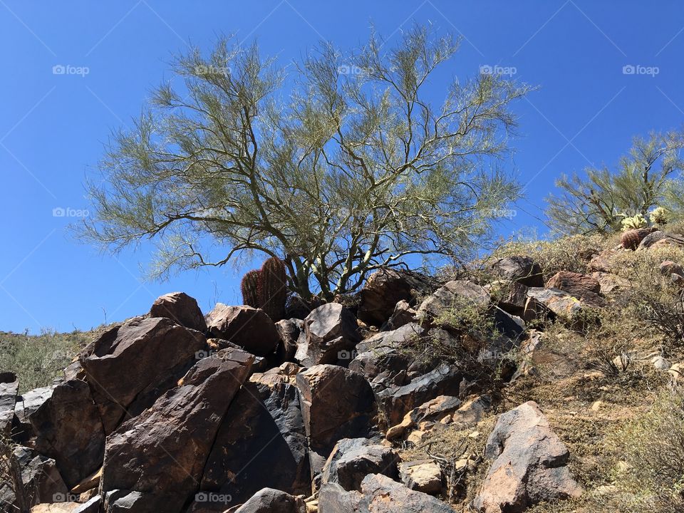 Low angle view of a mountain