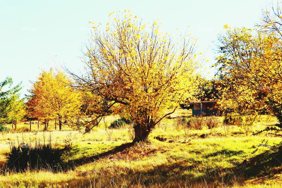 changing of season - Autumn