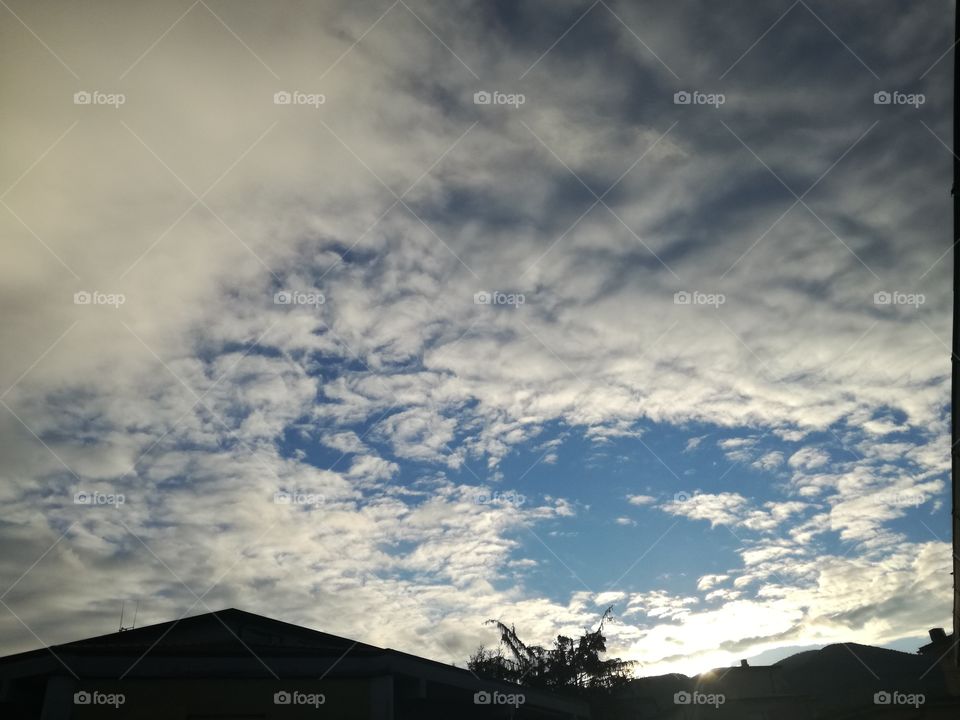 Day evolution. Light, finally