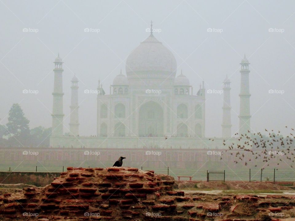 Taj Mahal Agra India Evening 