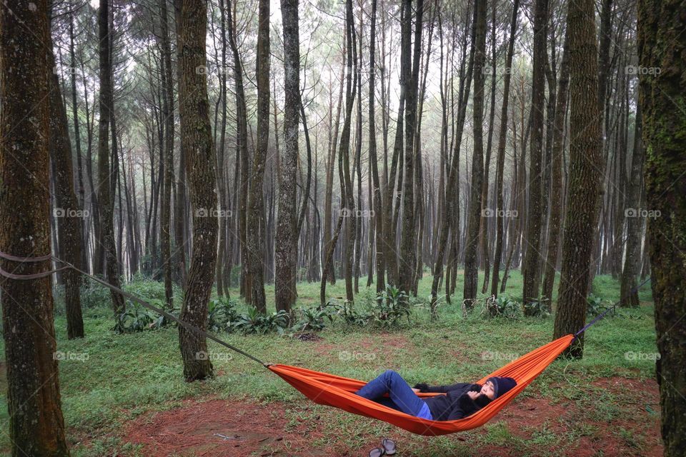 relax in the forest