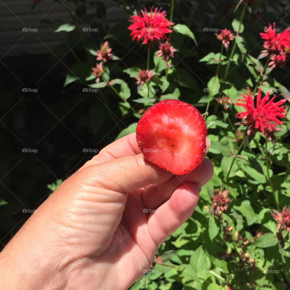 Delicious Strawberry