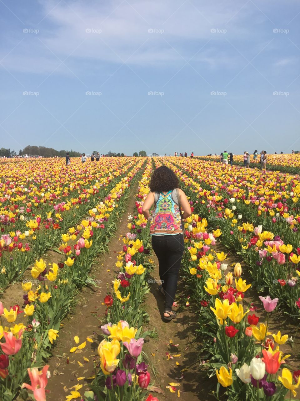 Running through the tulips 