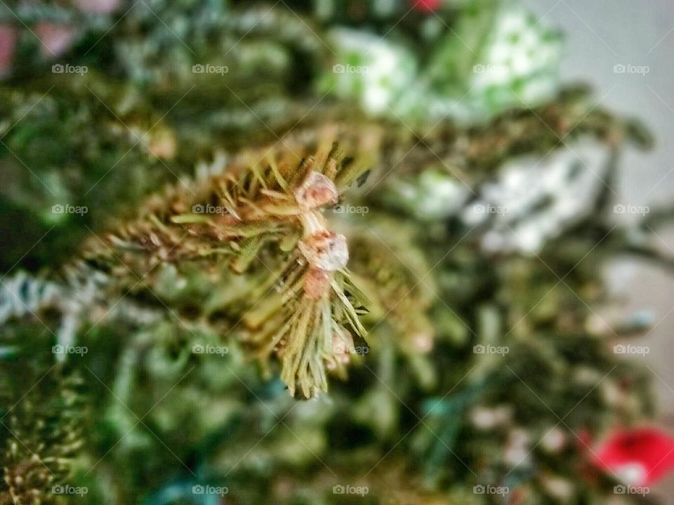Christmas tree macro