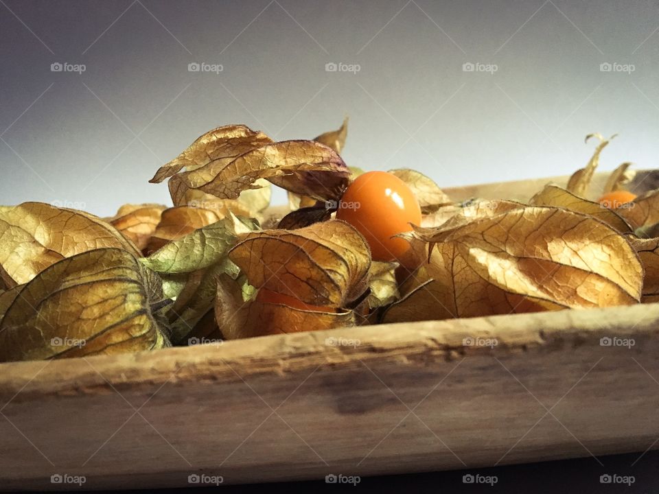 Close up of cape gooseberries, commonly referred to as physalis