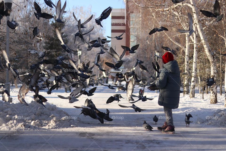 в зимнем парке
