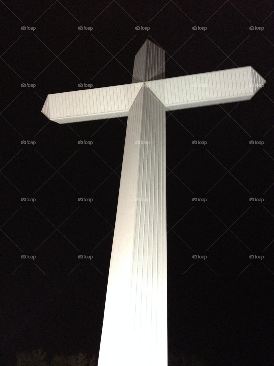 Jesus died on the Cross for our sins