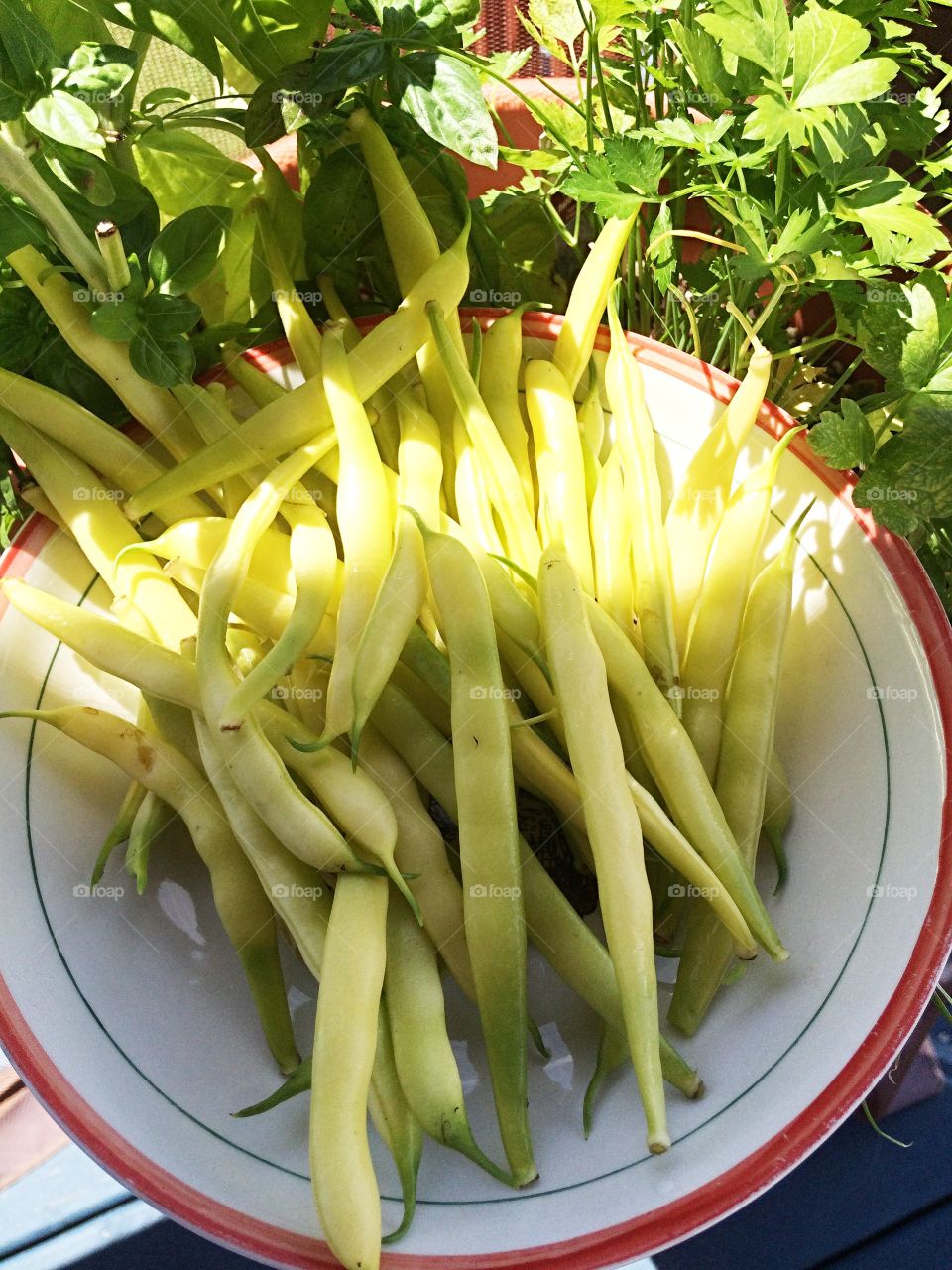 Yellow beans
