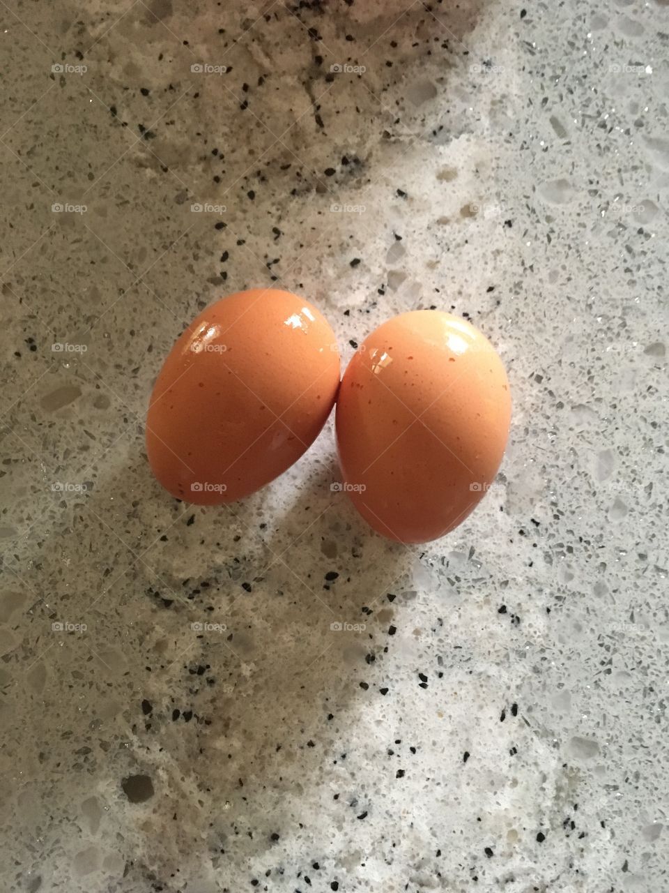 First Eggs