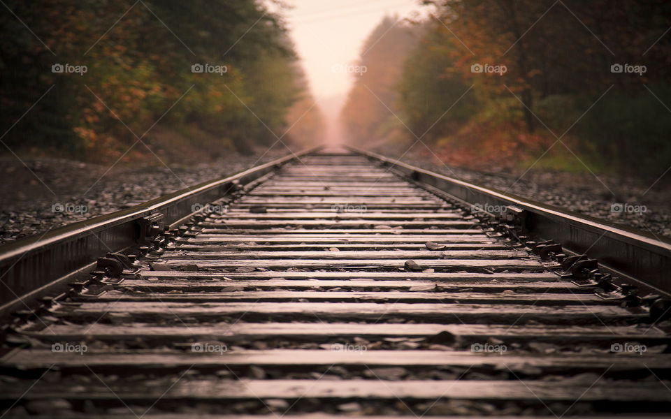 well on my travels in Canada I've stumbled across some train tracks at ground level this photograph looks stunning