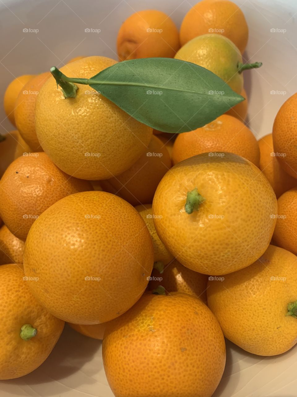 Calamondin Oranges