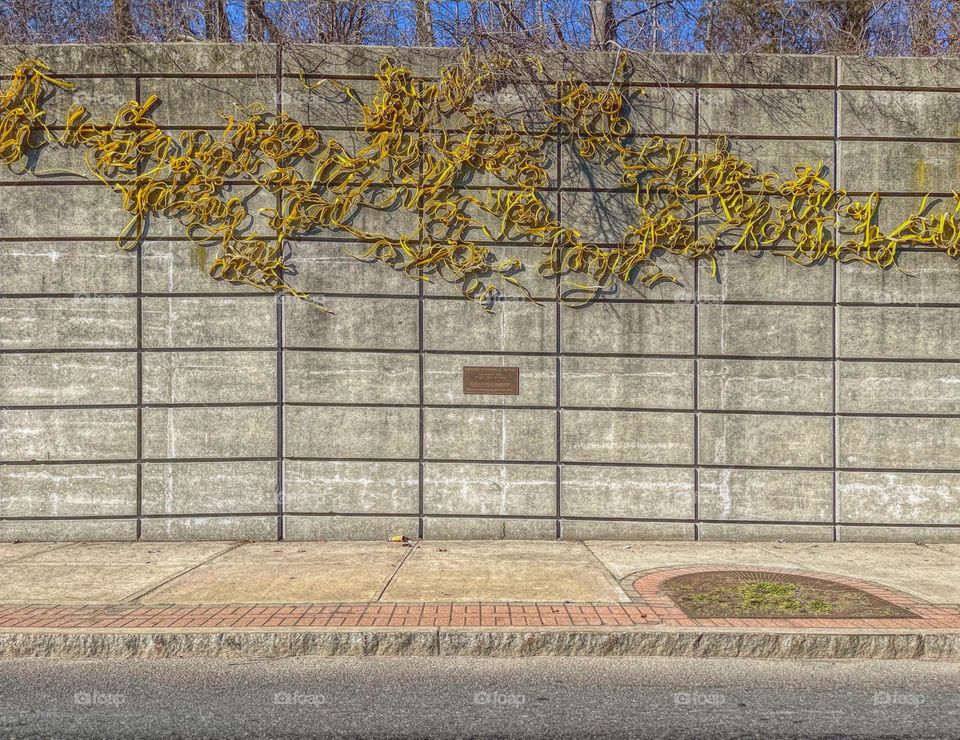 Art piece on a concrete wall 