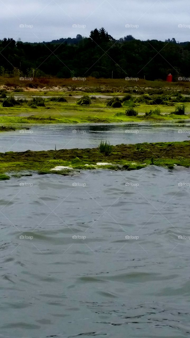 Moss Landing