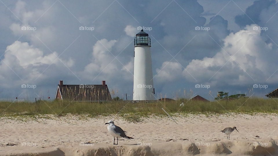 The Bird and The Lighthouse. Taken at a Florida beach