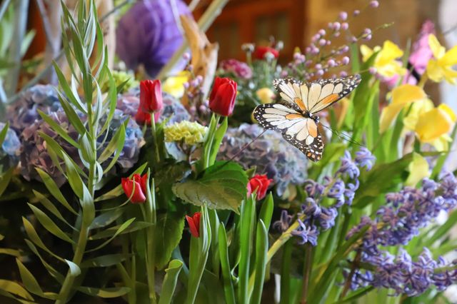 All flowers of spring