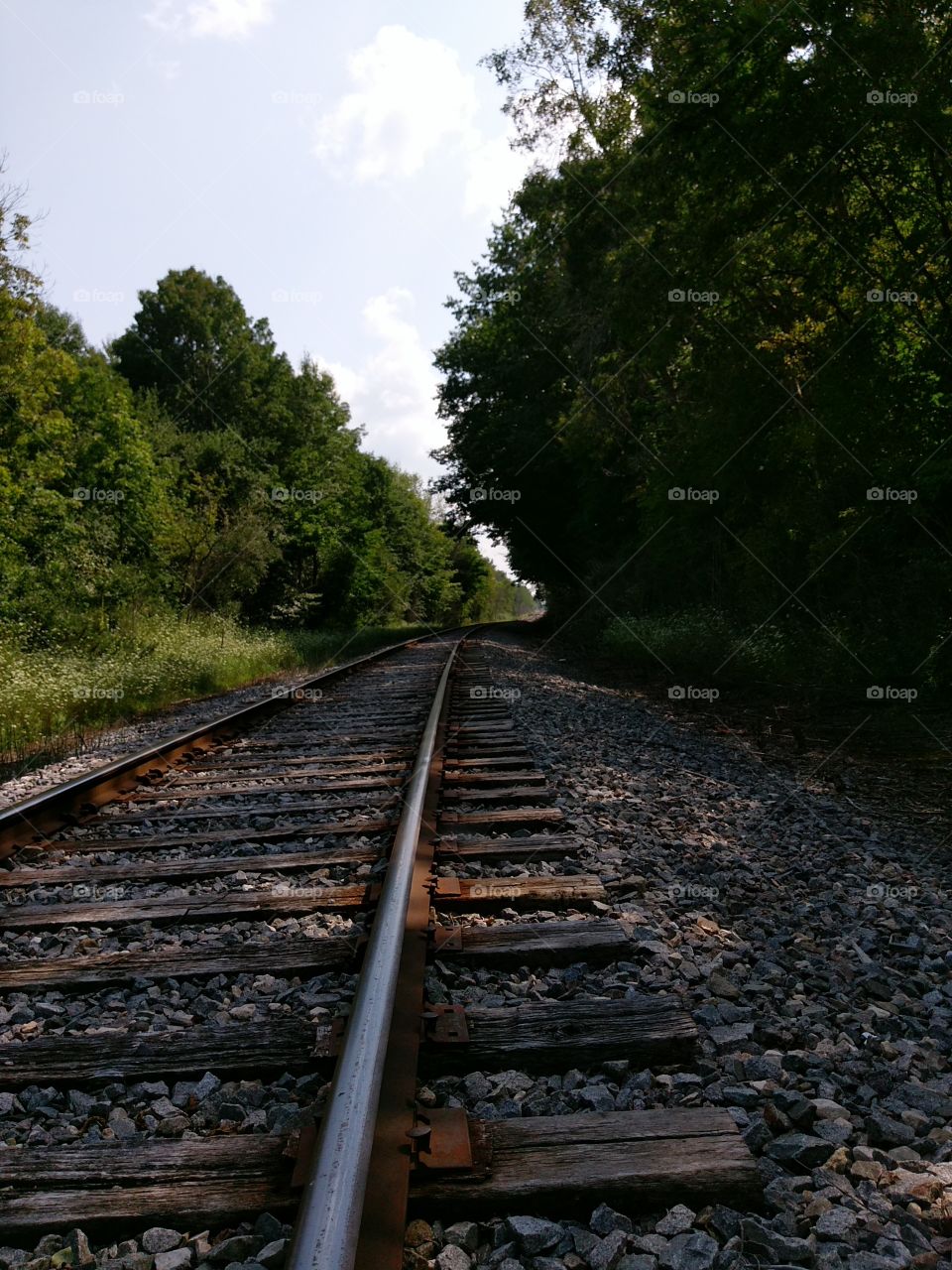 sitting on the tracks