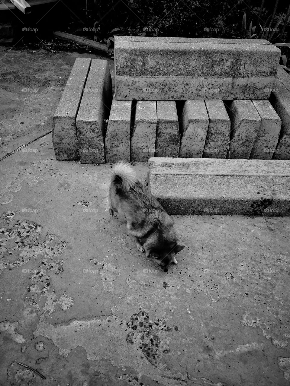 B&w architecture design view building way road decor decoration