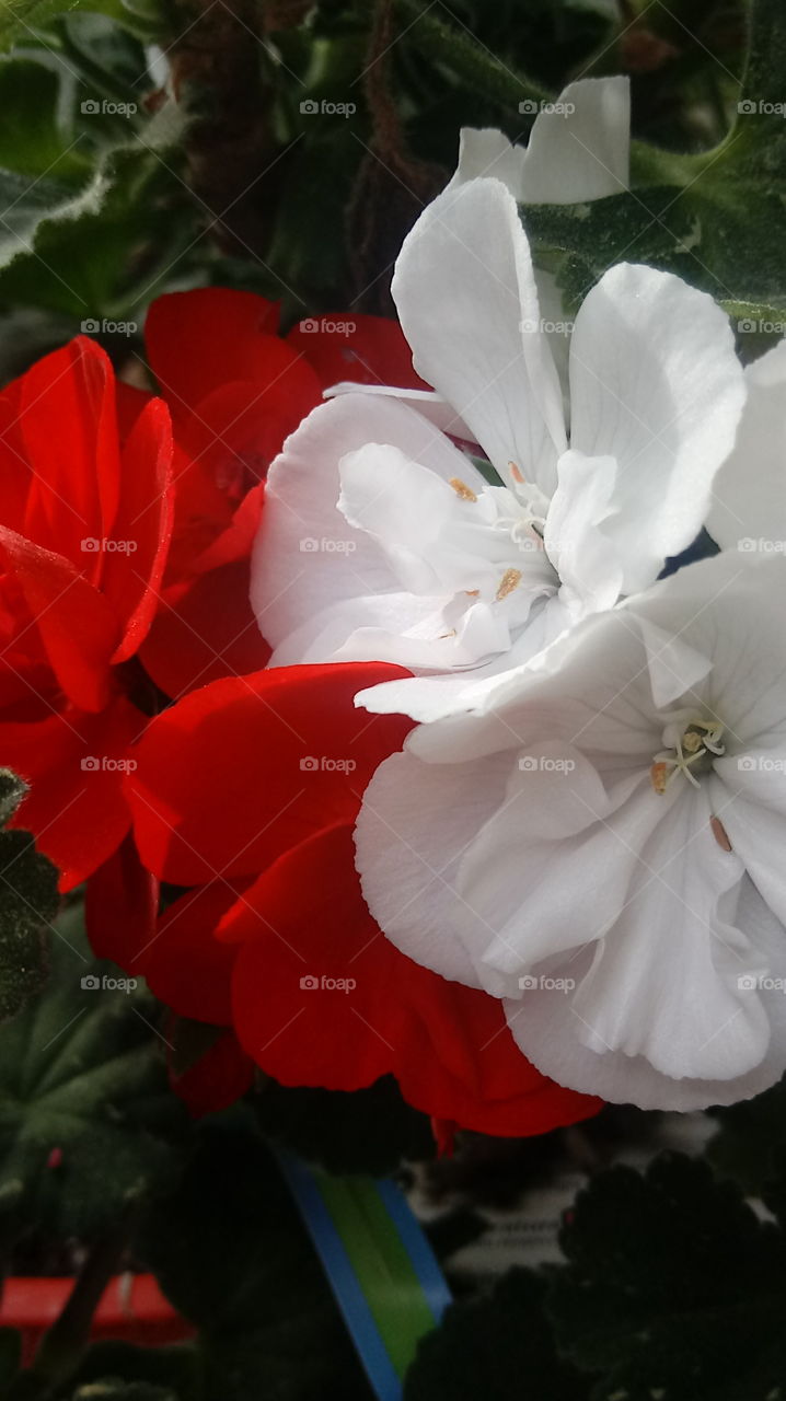 the intricate details