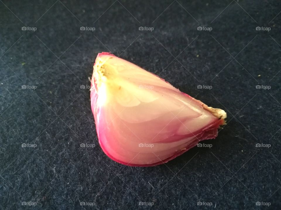 onion