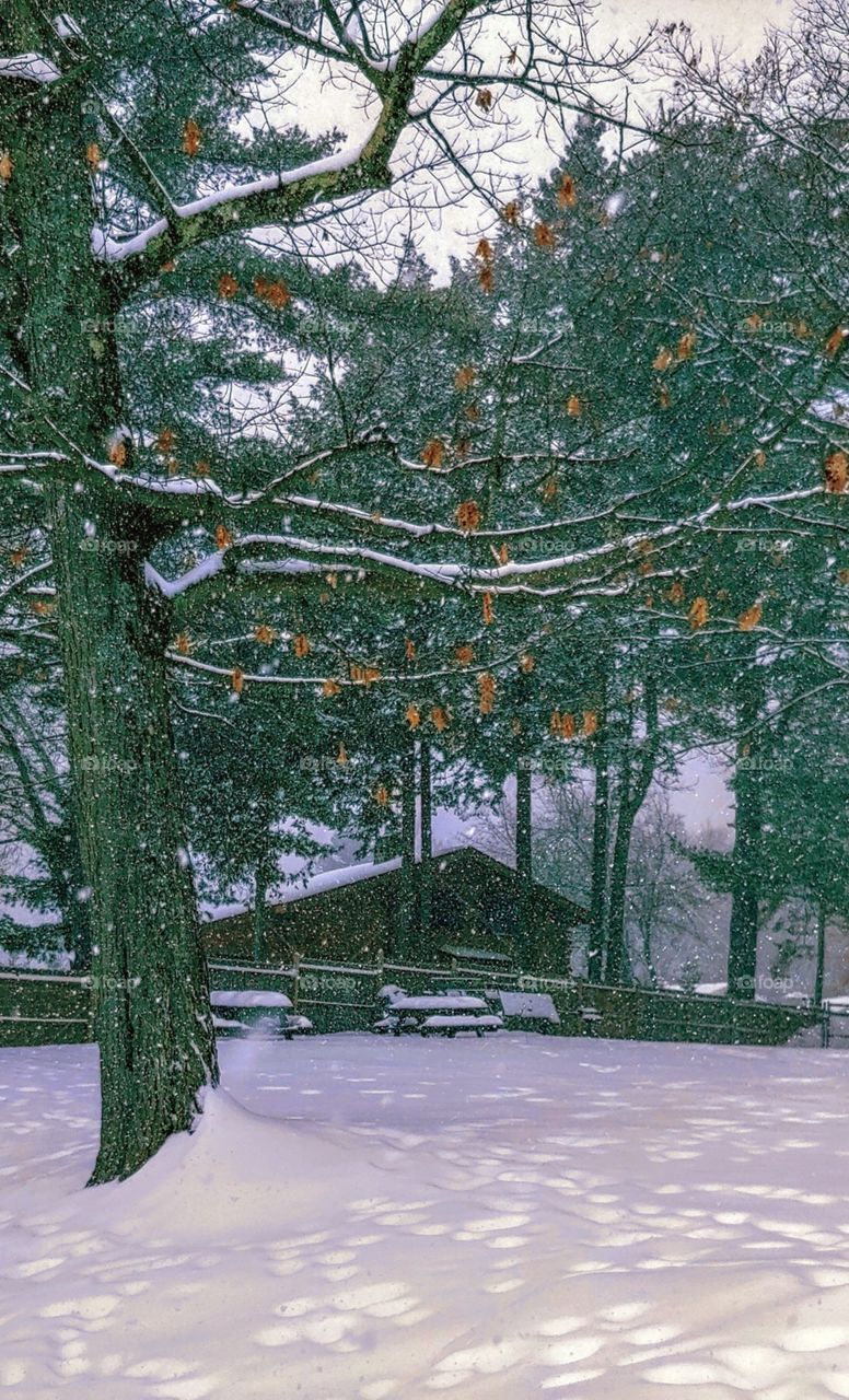 Log cabin in winter!