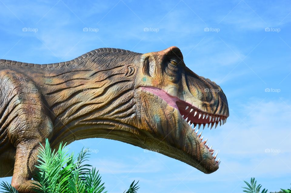 At dinosaurs park